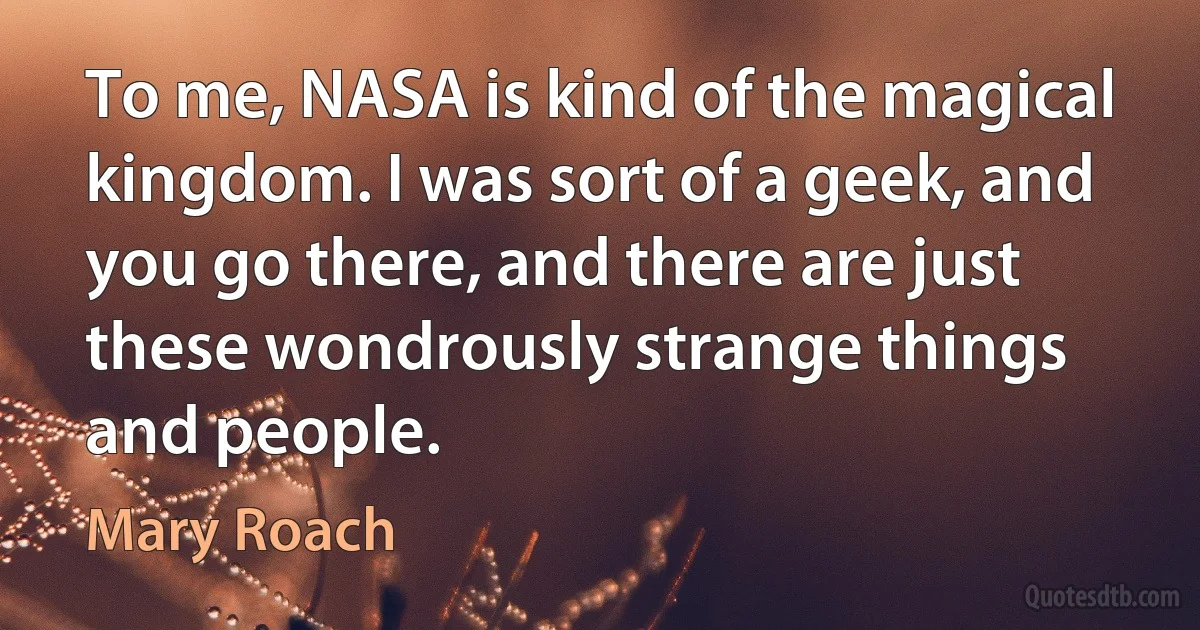 To me, NASA is kind of the magical kingdom. I was sort of a geek, and you go there, and there are just these wondrously strange things and people. (Mary Roach)