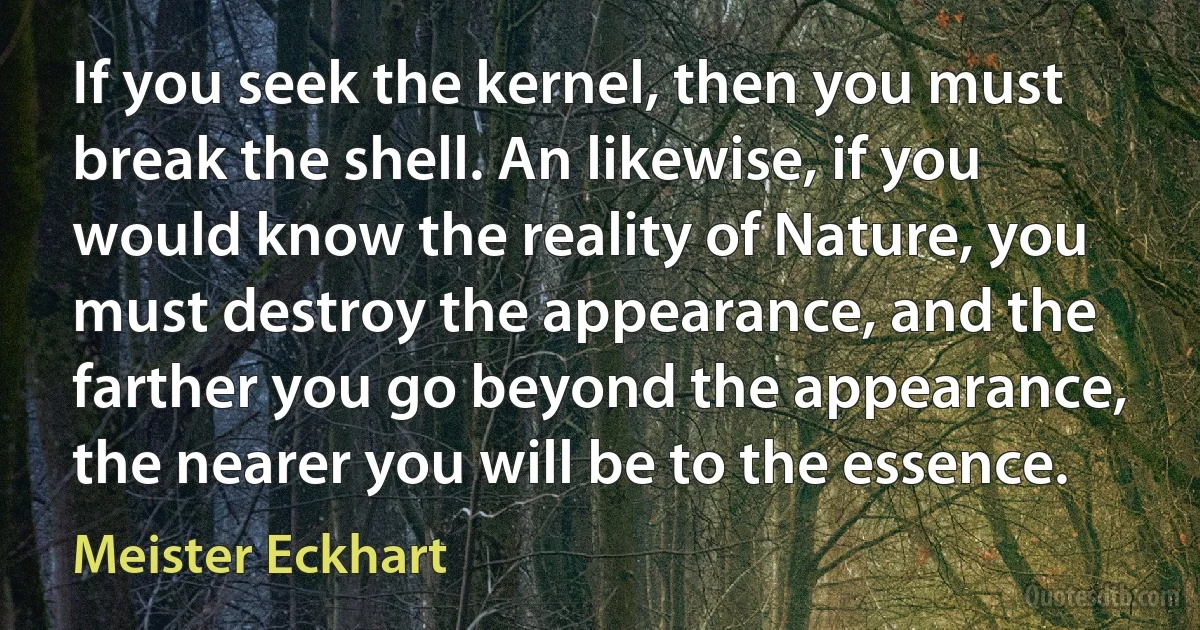 If you seek the kernel, then you must break the shell. An likewise, if you would know the reality of Nature, you must destroy the appearance, and the farther you go beyond the appearance, the nearer you will be to the essence. (Meister Eckhart)