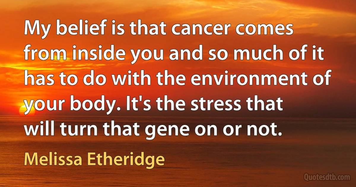 My belief is that cancer comes from inside you and so much of it has to do with the environment of your body. It's the stress that will turn that gene on or not. (Melissa Etheridge)