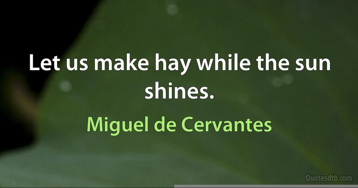 Let us make hay while the sun shines. (Miguel de Cervantes)