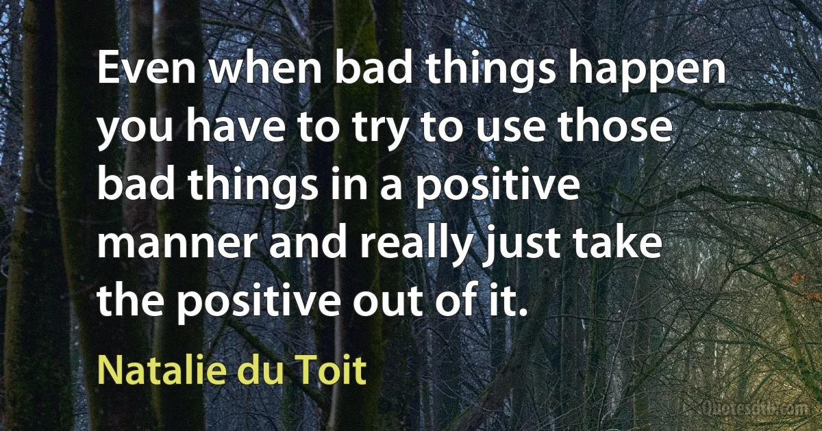 Even when bad things happen you have to try to use those bad things in a positive manner and really just take the positive out of it. (Natalie du Toit)