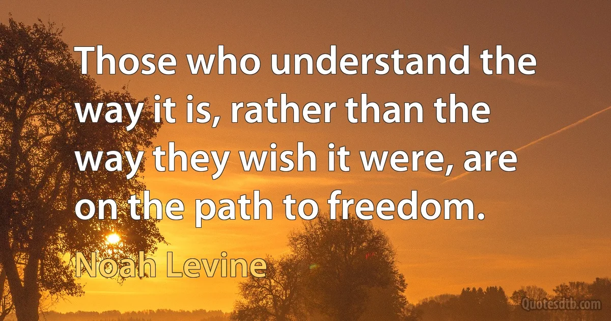 Those who understand the way it is, rather than the way they wish it were, are on the path to freedom. (Noah Levine)