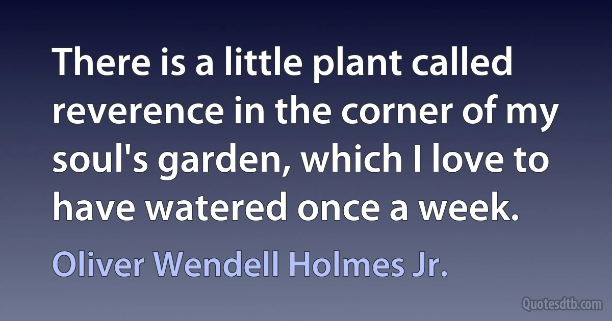 There is a little plant called reverence in the corner of my soul's garden, which I love to have watered once a week. (Oliver Wendell Holmes Jr.)