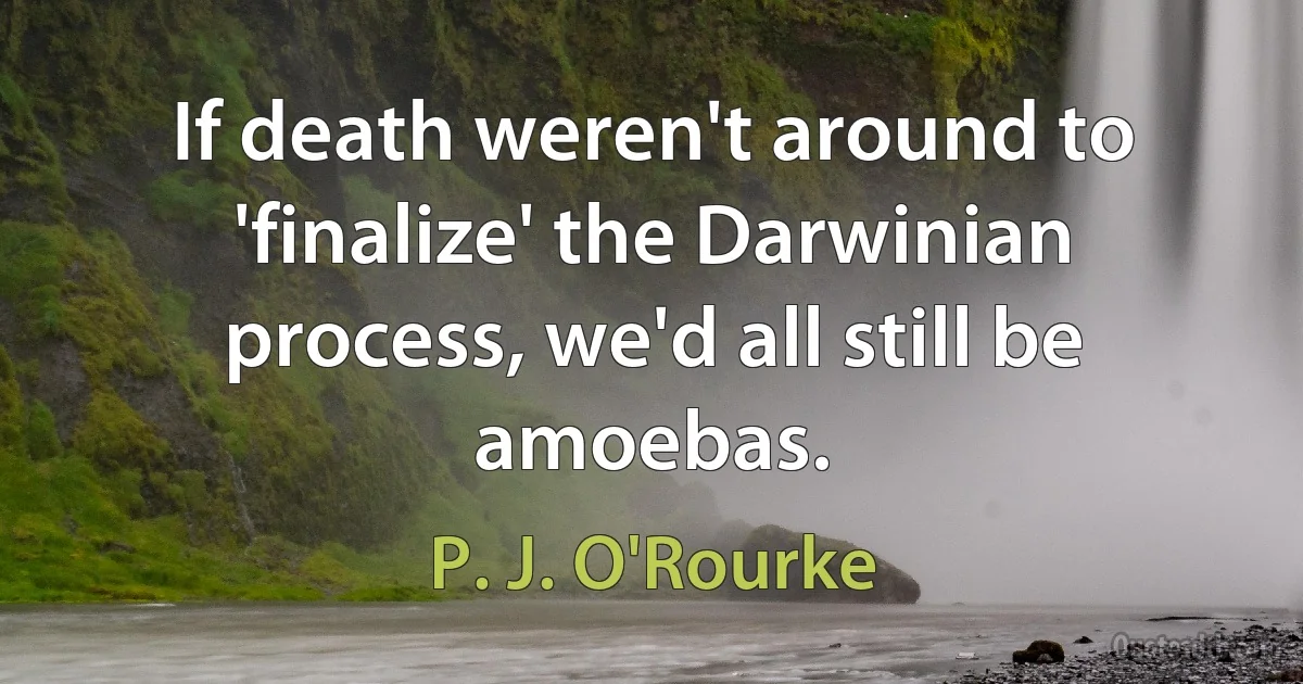 If death weren't around to 'finalize' the Darwinian process, we'd all still be amoebas. (P. J. O'Rourke)