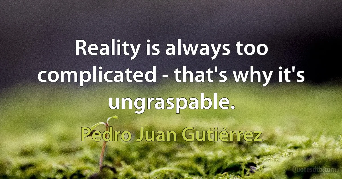 Reality is always too complicated - that's why it's ungraspable. (Pedro Juan Gutiérrez)