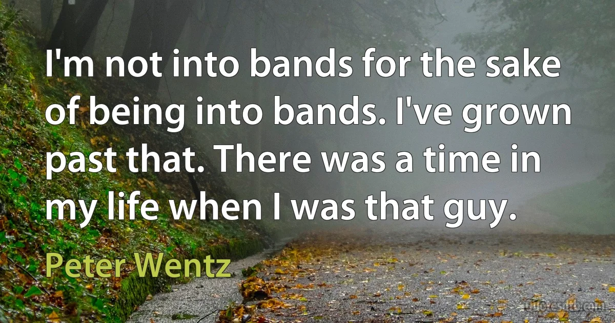 I'm not into bands for the sake of being into bands. I've grown past that. There was a time in my life when I was that guy. (Peter Wentz)