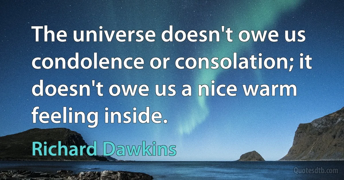 The universe doesn't owe us condolence or consolation; it doesn't owe us a nice warm feeling inside. (Richard Dawkins)