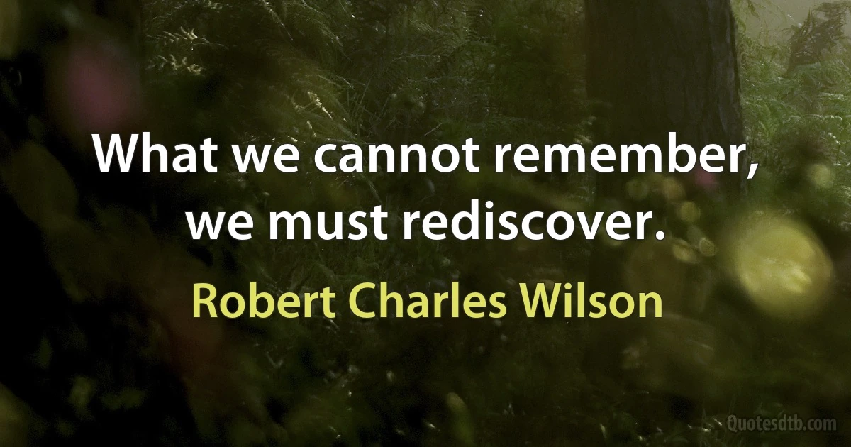 What we cannot remember, we must rediscover. (Robert Charles Wilson)