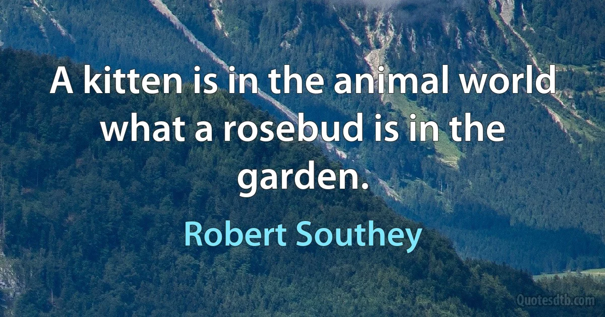 A kitten is in the animal world what a rosebud is in the garden. (Robert Southey)