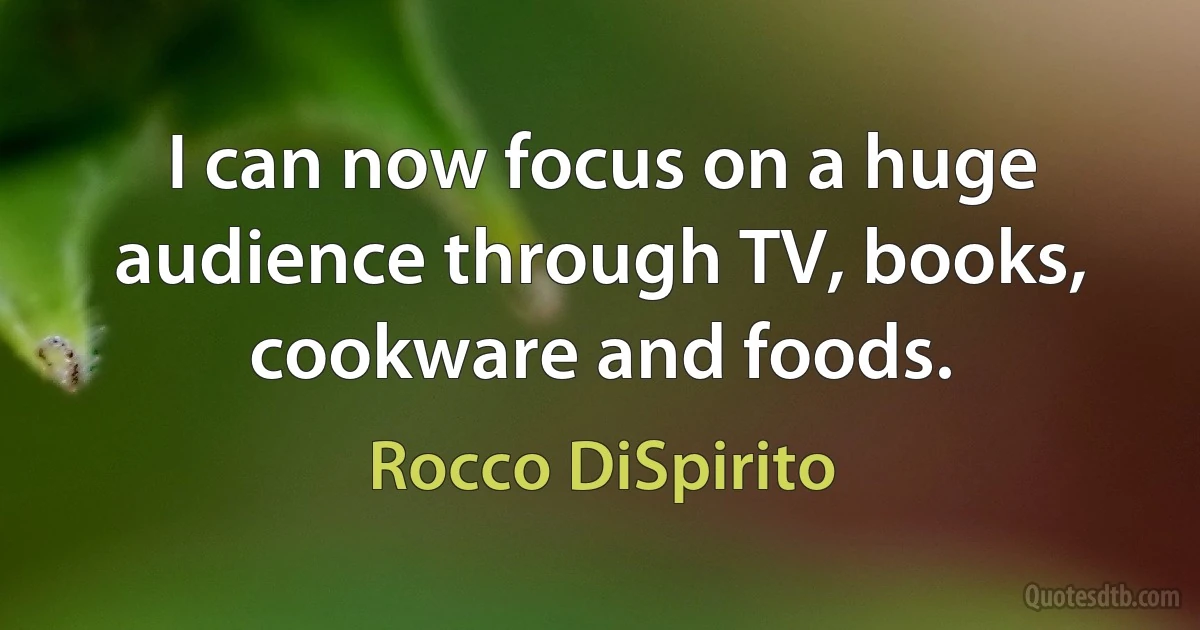 I can now focus on a huge audience through TV, books, cookware and foods. (Rocco DiSpirito)