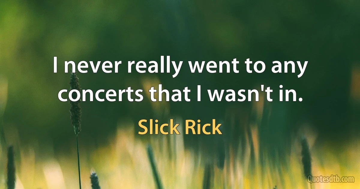 I never really went to any concerts that I wasn't in. (Slick Rick)