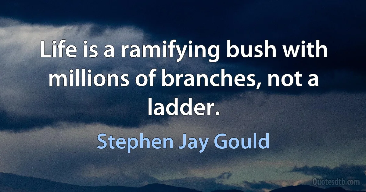 Life is a ramifying bush with millions of branches, not a ladder. (Stephen Jay Gould)