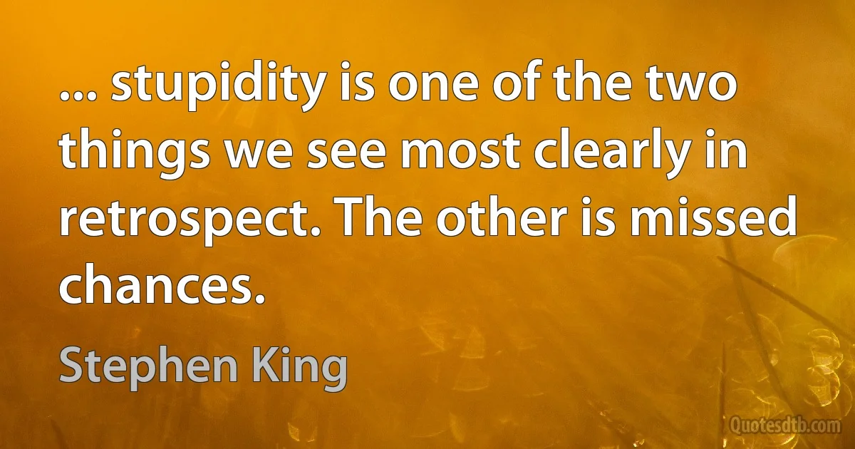 ... stupidity is one of the two things we see most clearly in retrospect. The other is missed chances. (Stephen King)