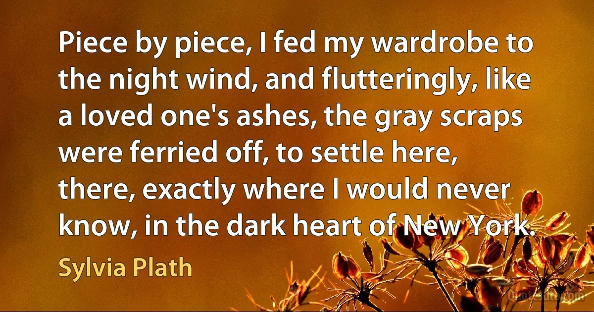 Piece by piece, I fed my wardrobe to the night wind, and flutteringly, like a loved one's ashes, the gray scraps were ferried off, to settle here, there, exactly where I would never know, in the dark heart of New York. (Sylvia Plath)