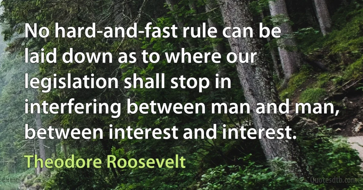 No hard-and-fast rule can be laid down as to where our legislation shall stop in interfering between man and man, between interest and interest. (Theodore Roosevelt)