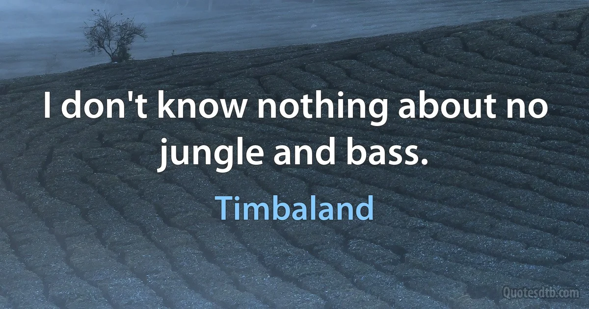 I don't know nothing about no jungle and bass. (Timbaland)