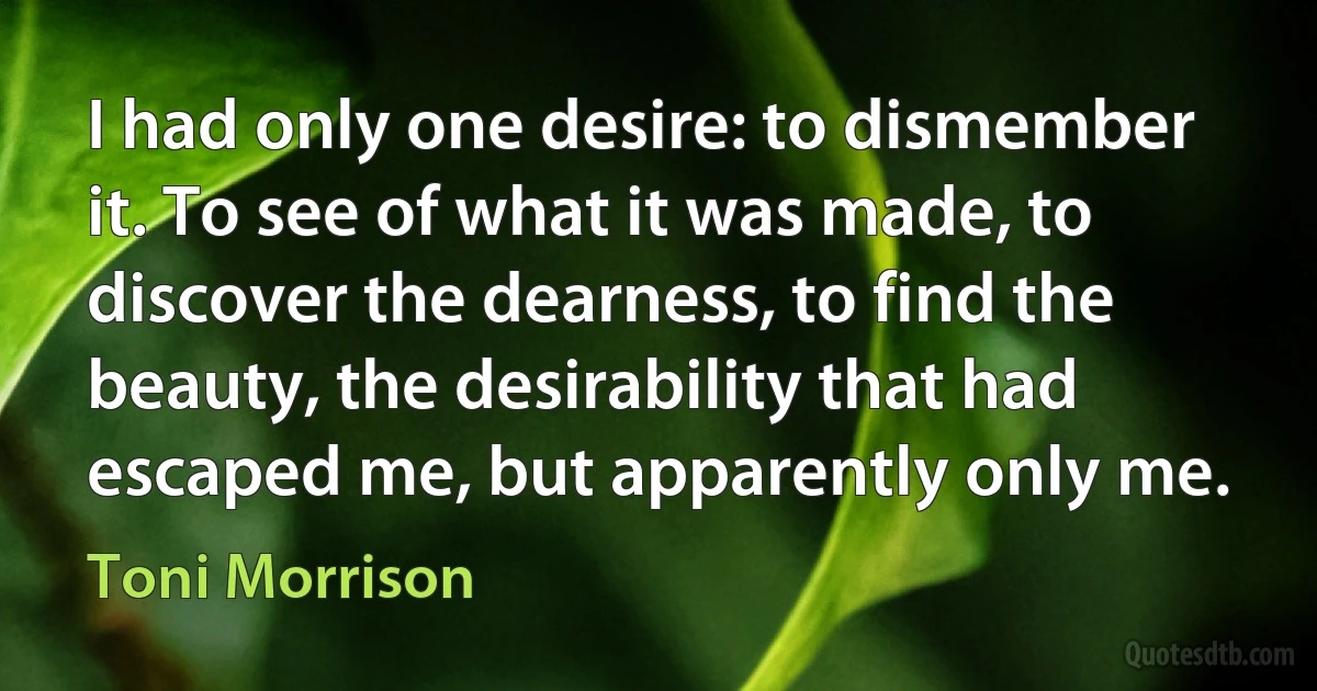 I had only one desire: to dismember it. To see of what it was made, to discover the dearness, to find the beauty, the desirability that had escaped me, but apparently only me. (Toni Morrison)