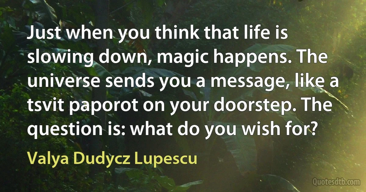 Just when you think that life is slowing down, magic happens. The universe sends you a message, like a tsvit paporot on your doorstep. The question is: what do you wish for? (Valya Dudycz Lupescu)