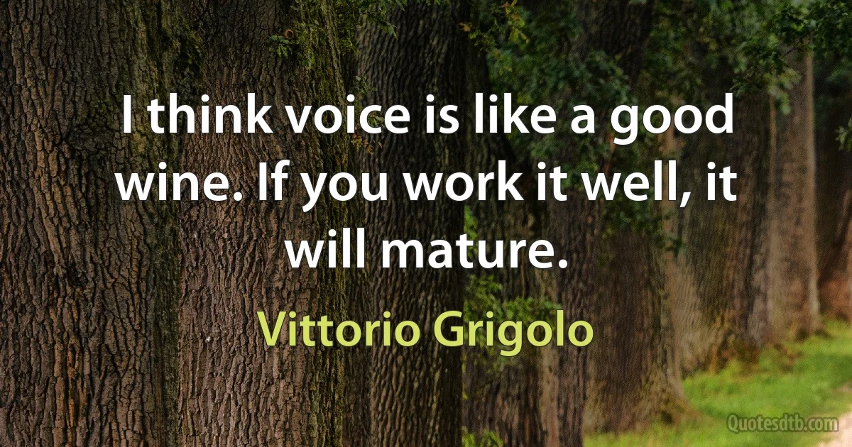 I think voice is like a good wine. If you work it well, it will mature. (Vittorio Grigolo)