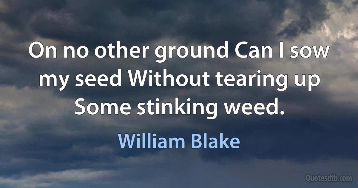 On no other ground Can I sow my seed Without tearing up Some stinking weed. (William Blake)