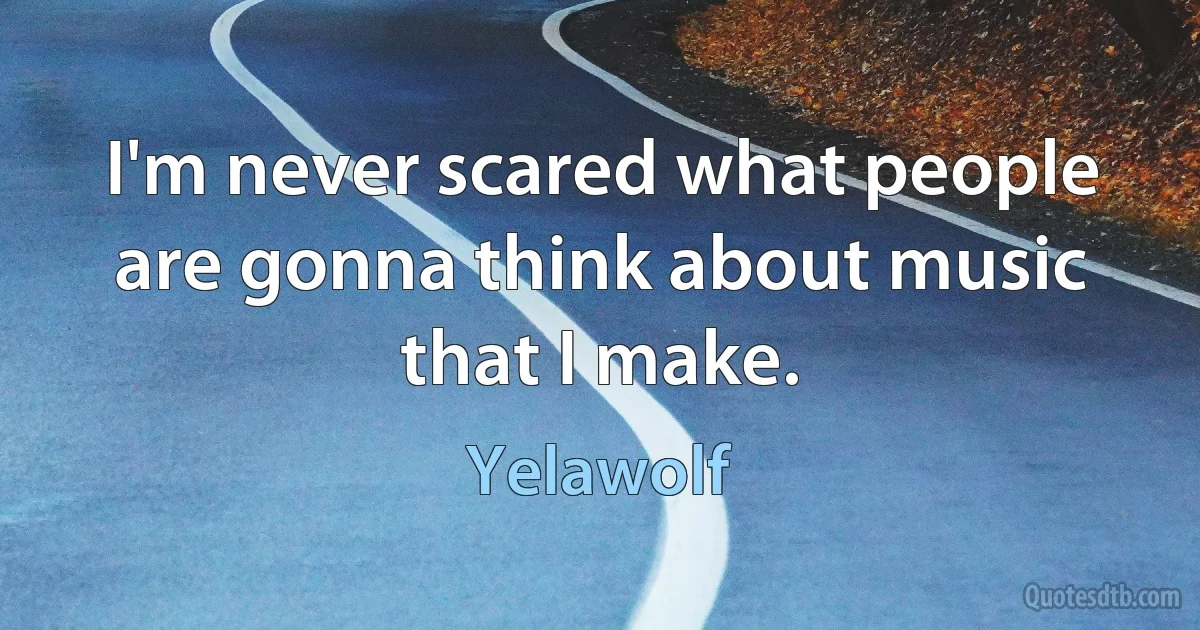 I'm never scared what people are gonna think about music that I make. (Yelawolf)