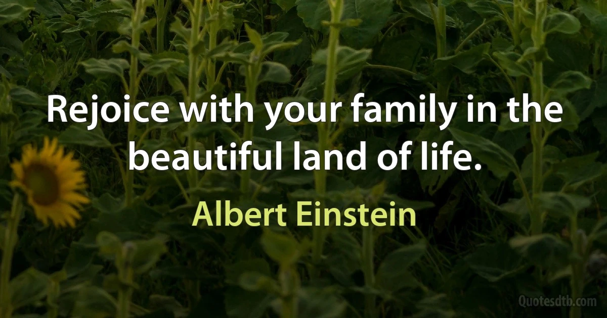 Rejoice with your family in the beautiful land of life. (Albert Einstein)