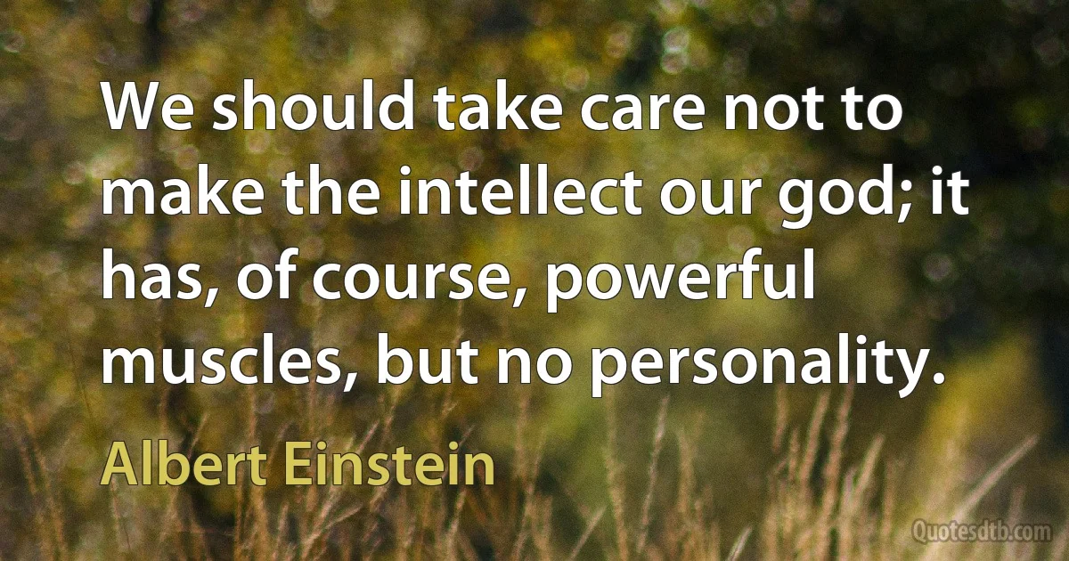 We should take care not to make the intellect our god; it has, of course, powerful muscles, but no personality. (Albert Einstein)