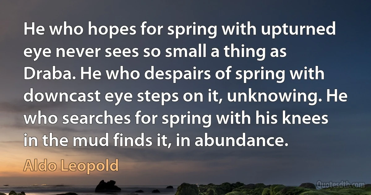 He who hopes for spring with upturned eye never sees so small a thing as Draba. He who despairs of spring with downcast eye steps on it, unknowing. He who searches for spring with his knees in the mud finds it, in abundance. (Aldo Leopold)