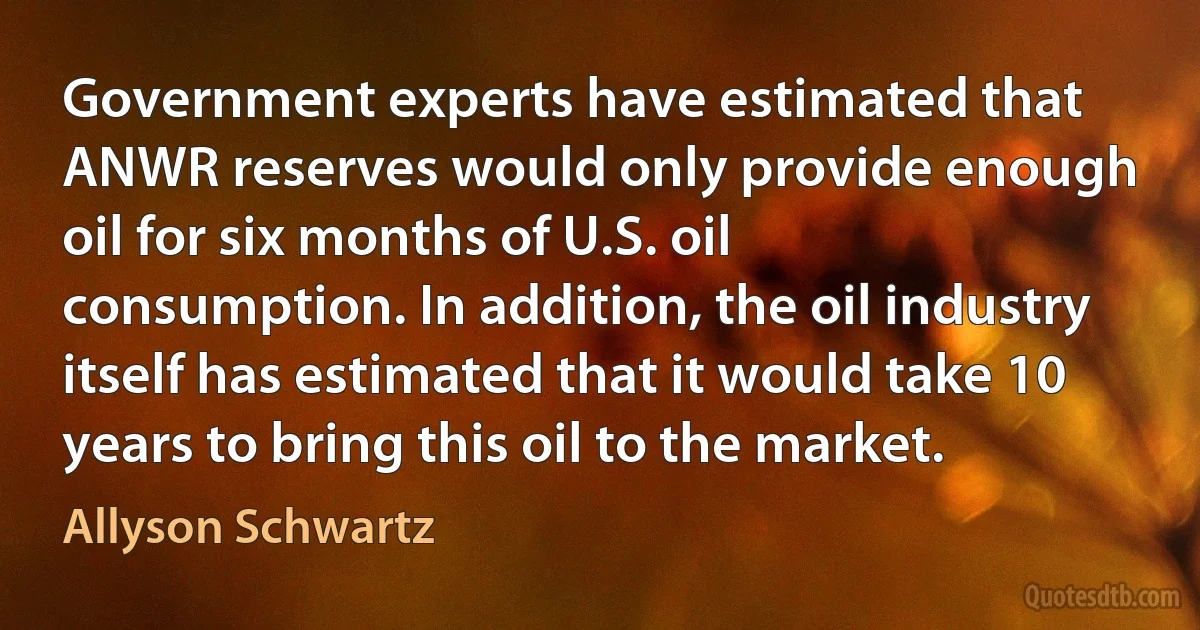 Government experts have estimated that ANWR reserves would only provide enough oil for six months of U.S. oil consumption. In addition, the oil industry itself has estimated that it would take 10 years to bring this oil to the market. (Allyson Schwartz)