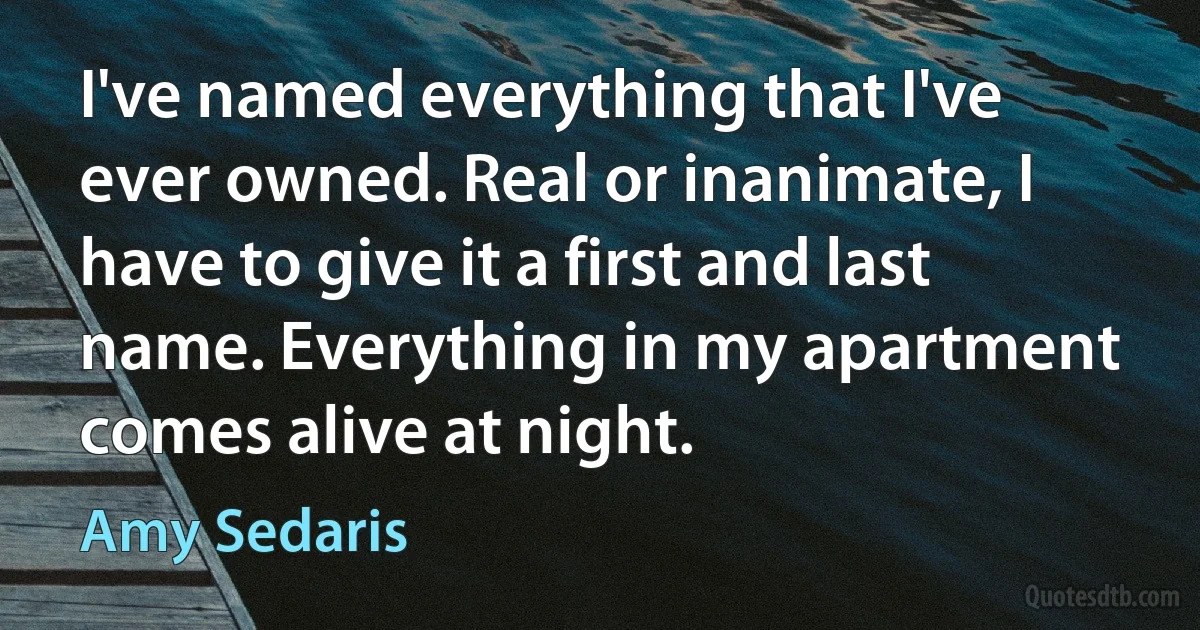 I've named everything that I've ever owned. Real or inanimate, I have to give it a first and last name. Everything in my apartment comes alive at night. (Amy Sedaris)