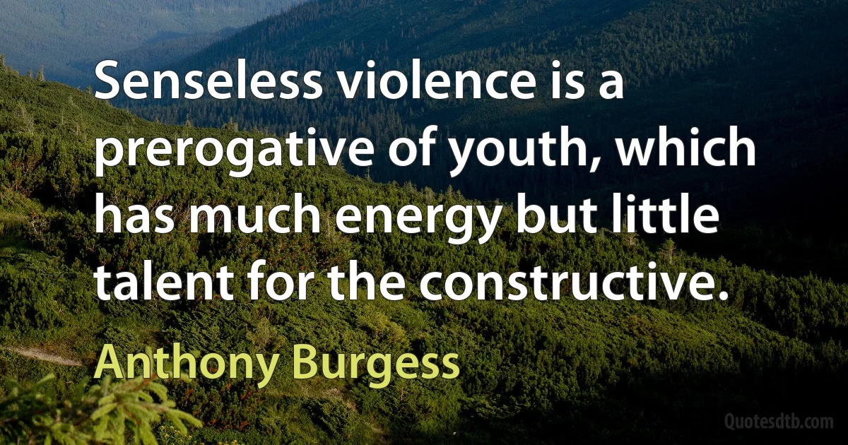 Senseless violence is a prerogative of youth, which has much energy but little talent for the constructive. (Anthony Burgess)