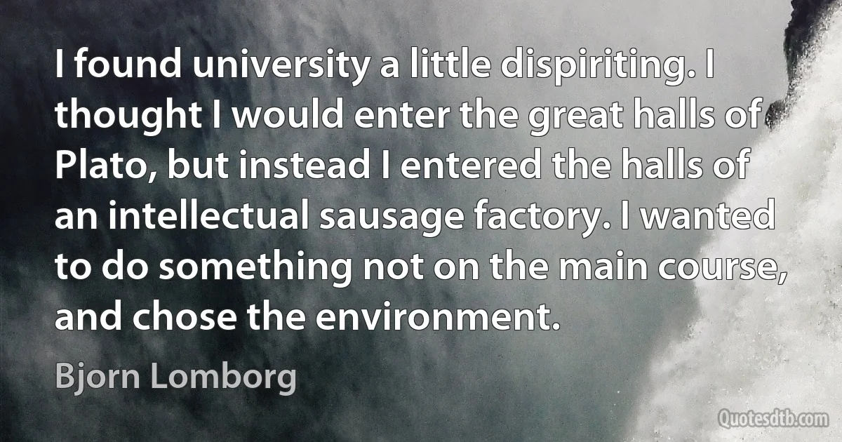 I found university a little dispiriting. I thought I would enter the great halls of Plato, but instead I entered the halls of an intellectual sausage factory. I wanted to do something not on the main course, and chose the environment. (Bjorn Lomborg)