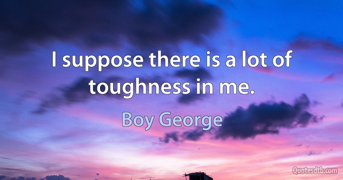 I suppose there is a lot of toughness in me. (Boy George)