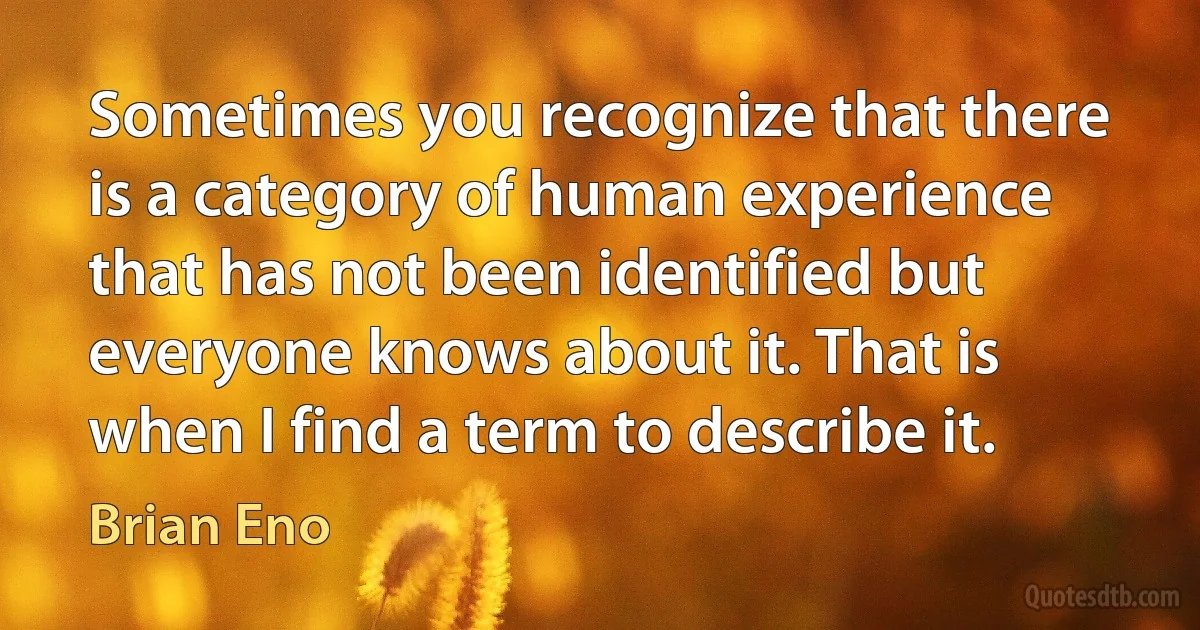 Sometimes you recognize that there is a category of human experience that has not been identified but everyone knows about it. That is when I find a term to describe it. (Brian Eno)