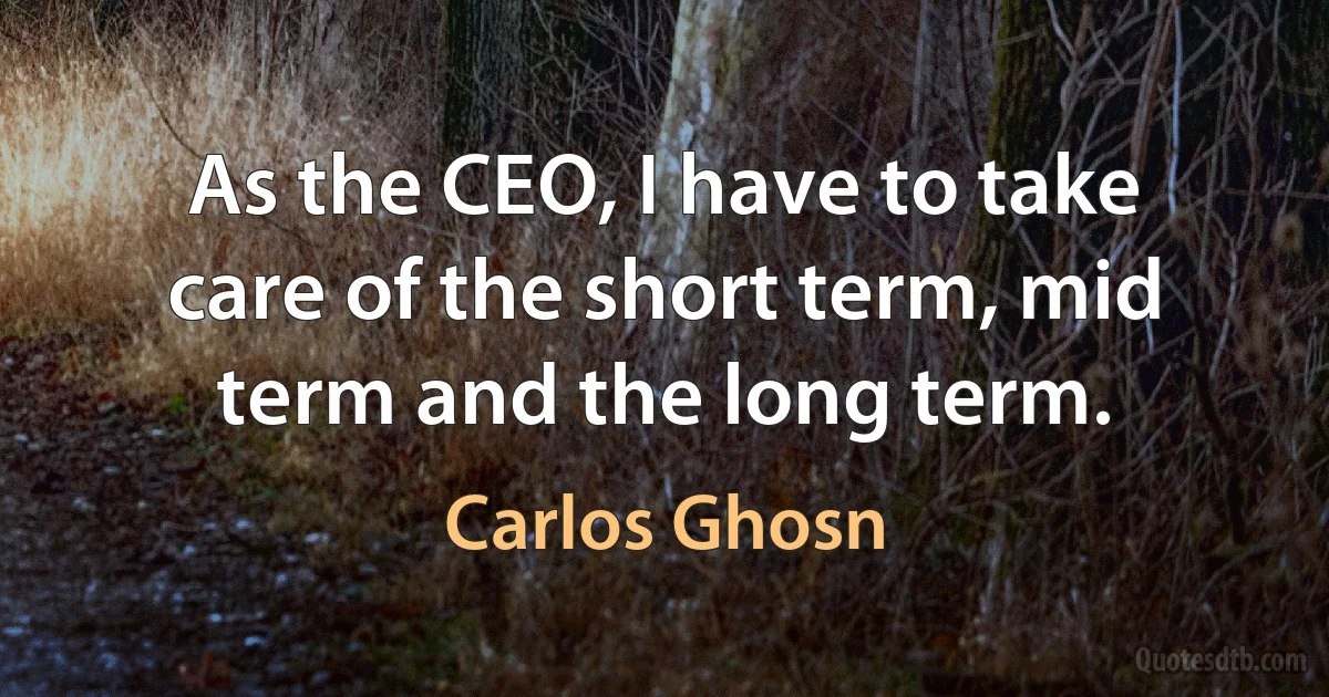 As the CEO, I have to take care of the short term, mid term and the long term. (Carlos Ghosn)