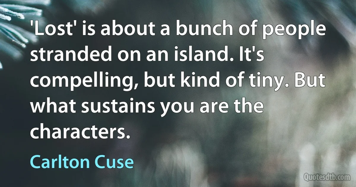 'Lost' is about a bunch of people stranded on an island. It's compelling, but kind of tiny. But what sustains you are the characters. (Carlton Cuse)