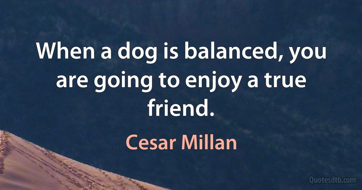 When a dog is balanced, you are going to enjoy a true friend. (Cesar Millan)