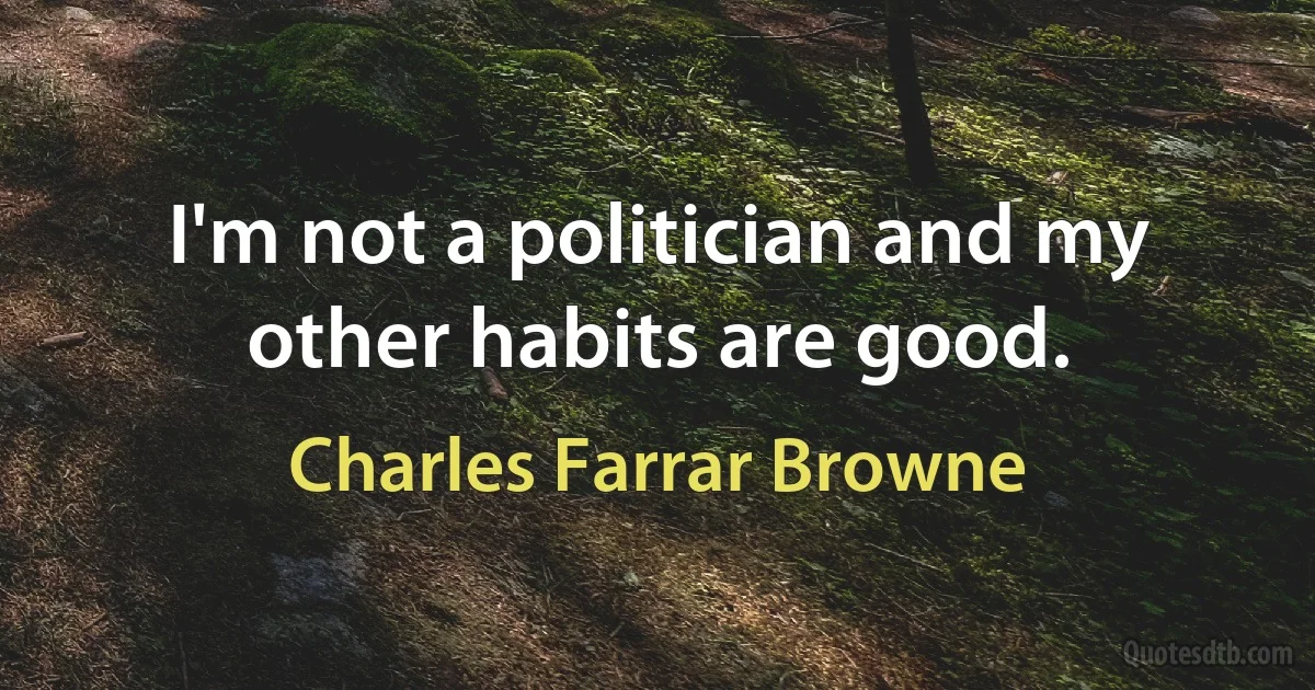 I'm not a politician and my other habits are good. (Charles Farrar Browne)