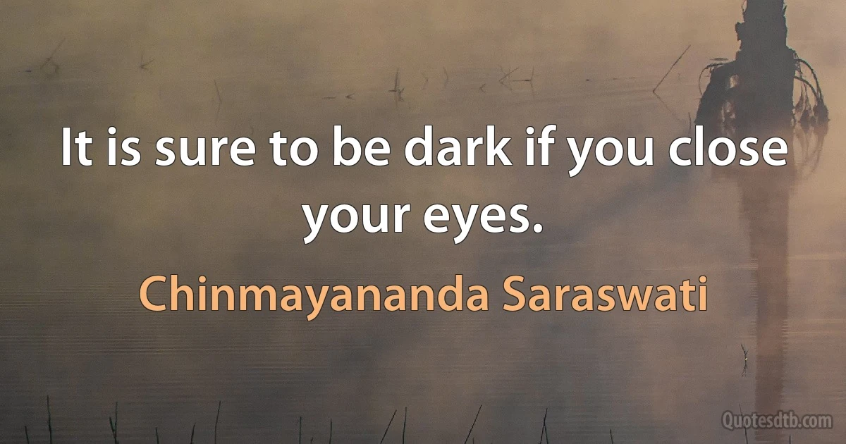 It is sure to be dark if you close your eyes. (Chinmayananda Saraswati)