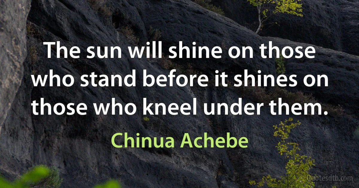 The sun will shine on those who stand before it shines on those who kneel under them. (Chinua Achebe)