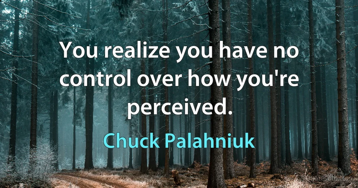 You realize you have no control over how you're perceived. (Chuck Palahniuk)