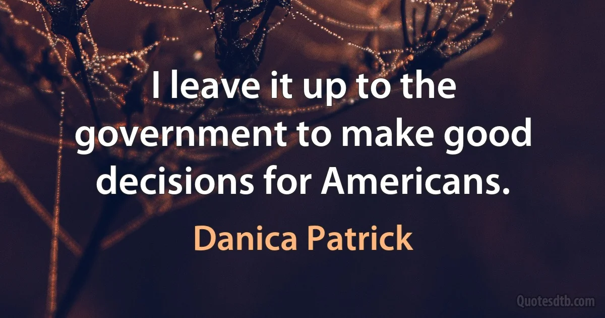 I leave it up to the government to make good decisions for Americans. (Danica Patrick)