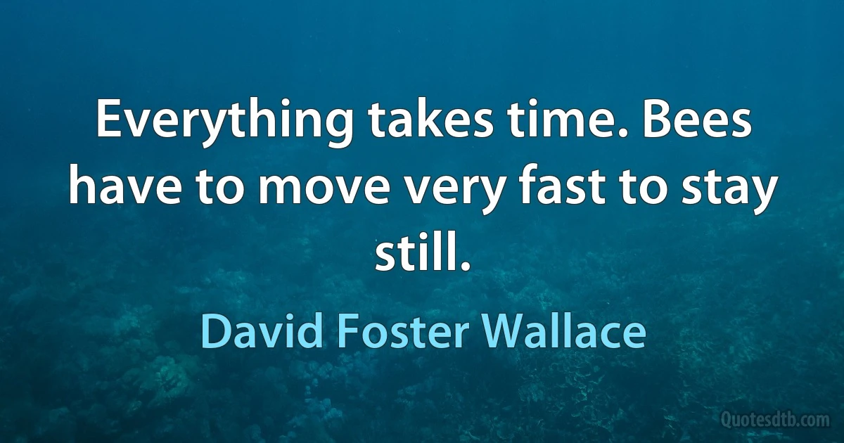 Everything takes time. Bees have to move very fast to stay still. (David Foster Wallace)