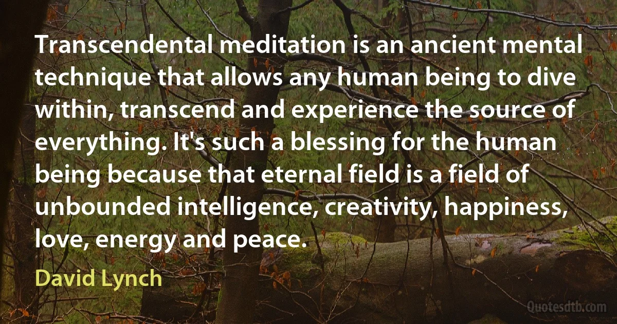 Transcendental meditation is an ancient mental technique that allows any human being to dive within, transcend and experience the source of everything. It's such a blessing for the human being because that eternal field is a field of unbounded intelligence, creativity, happiness, love, energy and peace. (David Lynch)