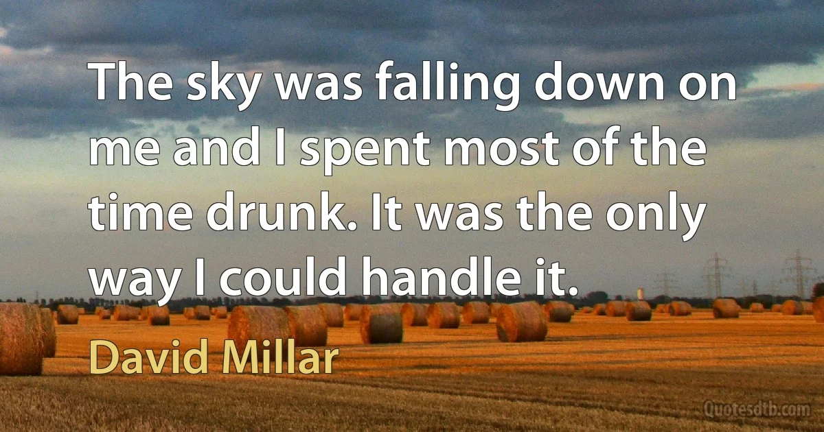 The sky was falling down on me and I spent most of the time drunk. It was the only way I could handle it. (David Millar)