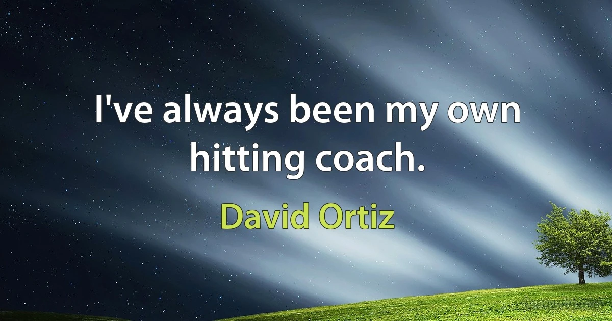 I've always been my own hitting coach. (David Ortiz)