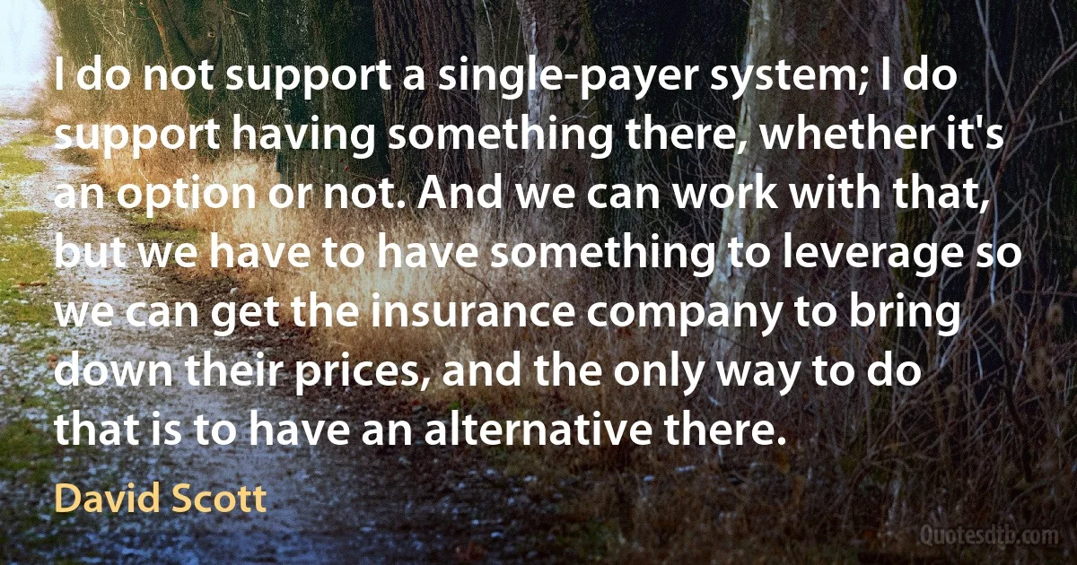 I do not support a single-payer system; I do support having something there, whether it's an option or not. And we can work with that, but we have to have something to leverage so we can get the insurance company to bring down their prices, and the only way to do that is to have an alternative there. (David Scott)