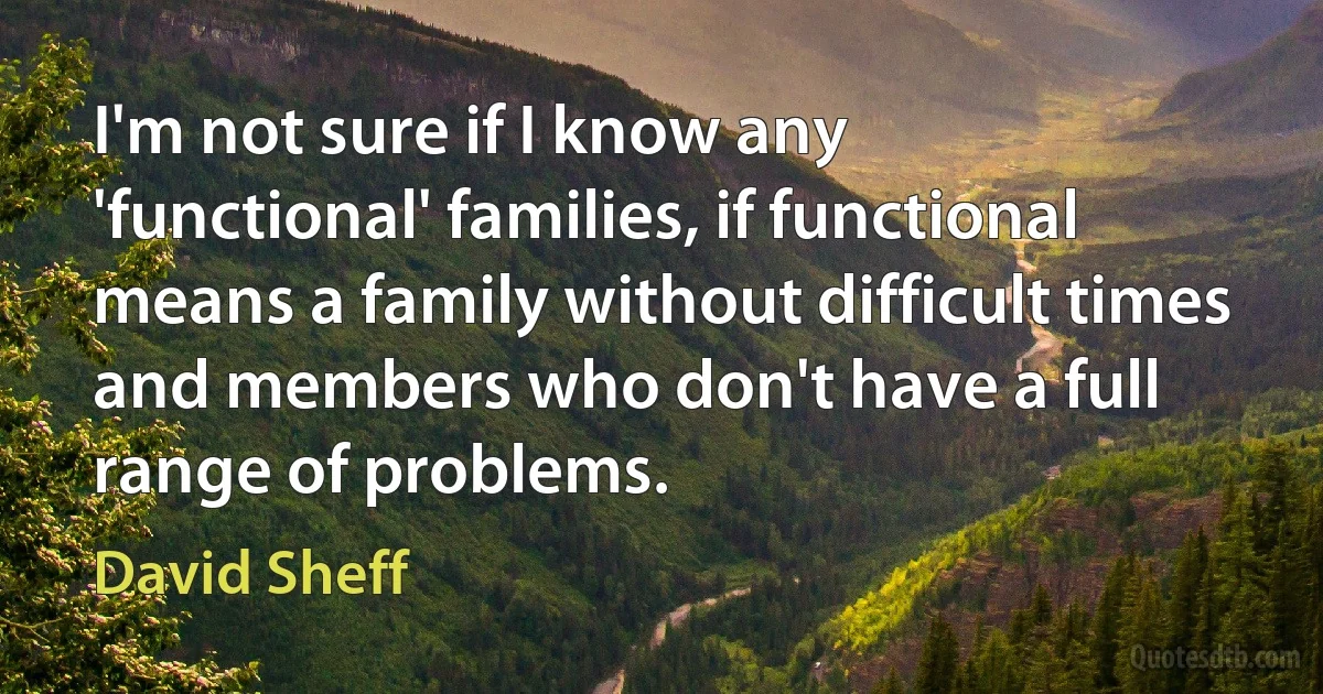 I'm not sure if I know any 'functional' families, if functional means a family without difficult times and members who don't have a full range of problems. (David Sheff)