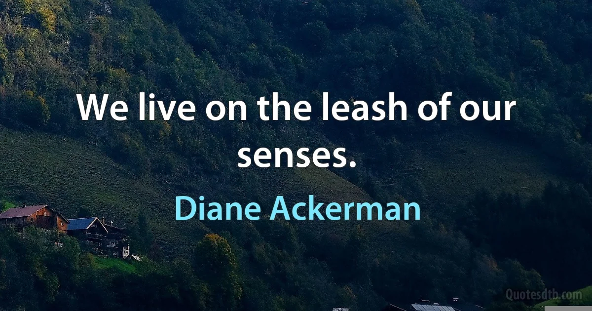 We live on the leash of our senses. (Diane Ackerman)