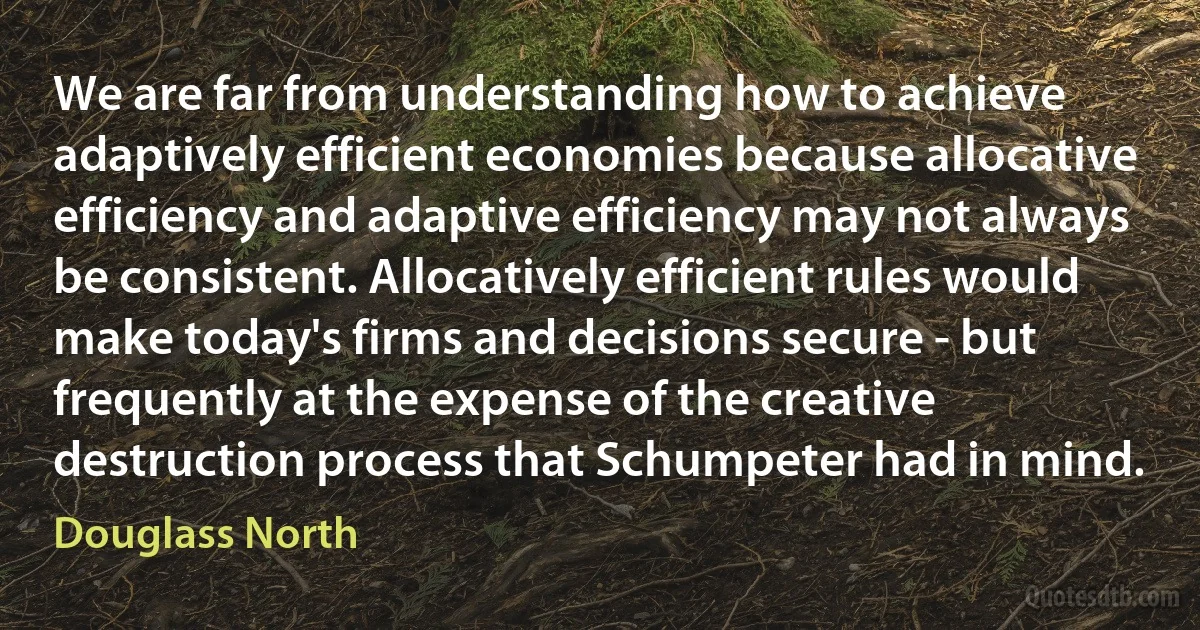 We are far from understanding how to achieve adaptively efficient economies because allocative efficiency and adaptive efficiency may not always be consistent. Allocatively efficient rules would make today's firms and decisions secure - but frequently at the expense of the creative destruction process that Schumpeter had in mind. (Douglass North)